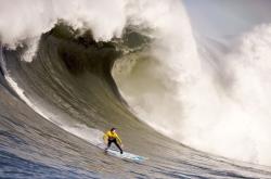 开云体育app-赛道上的巨人，球场上的硝烟，当浓眉在F1街道赛接管比赛