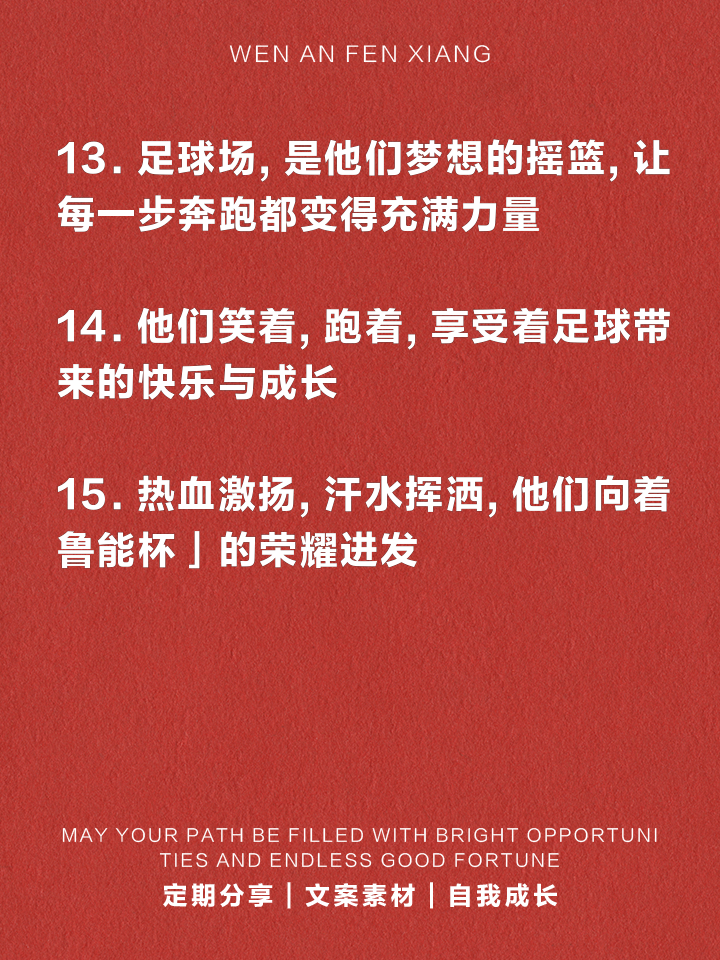 热血激荡,球场上每一个瞬间都值得回味的简单介绍 热血激荡,球场上每一个瞬间都值得回味的简单介绍