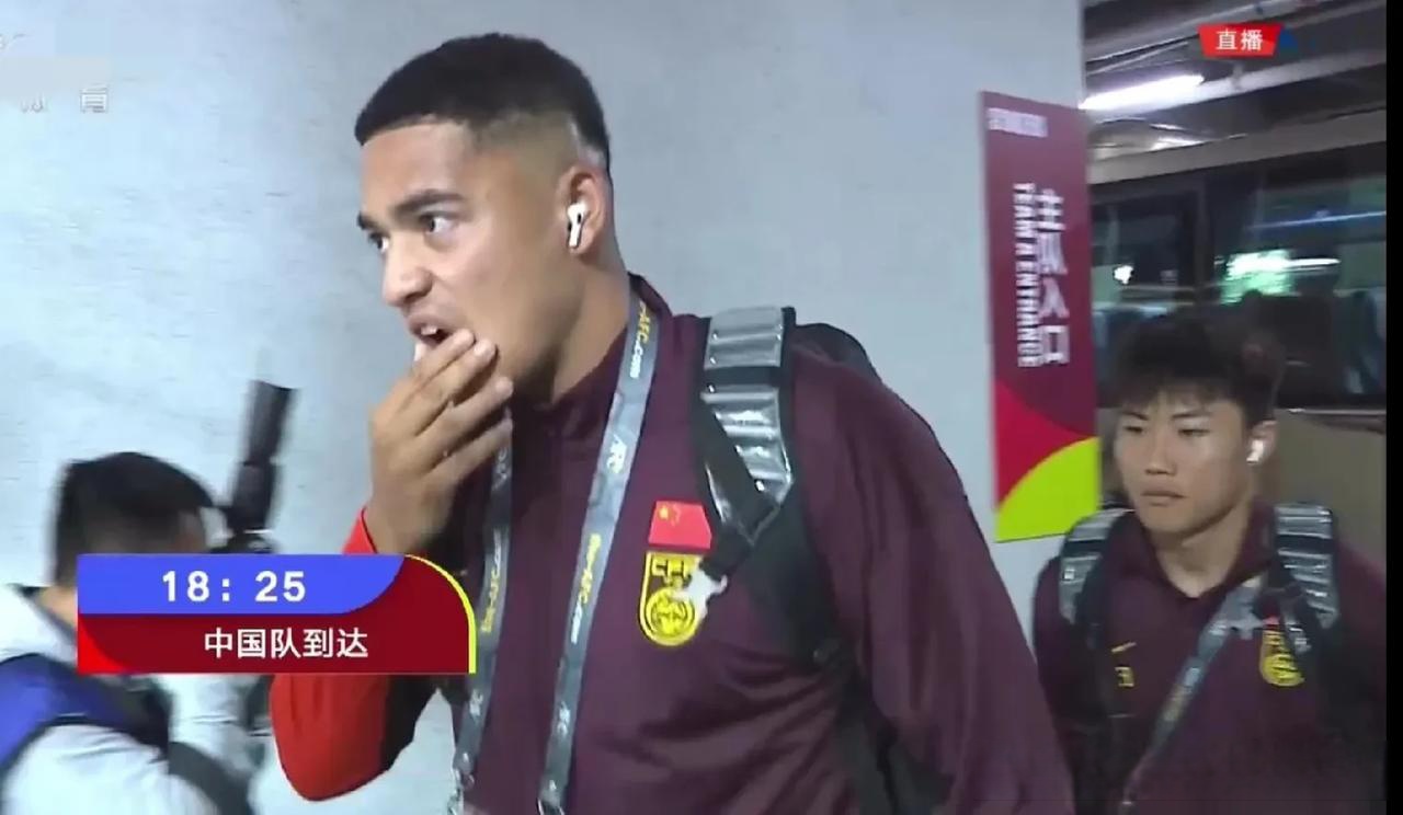 包含泰国队遭遇挫折，悲剧落幕于世界杯八强的词条